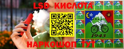 apvp Краснодар
