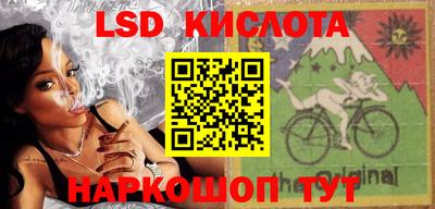apvp Краснодар
