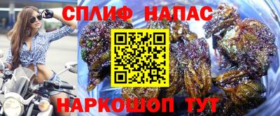 apvp Краснодар