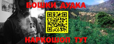 apvp Краснодар